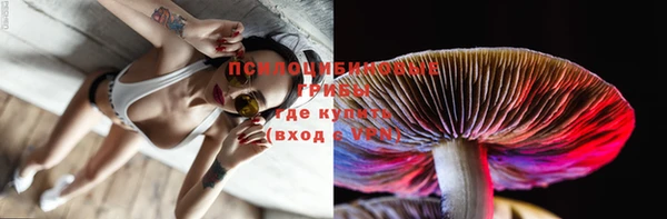 дурь Нягань