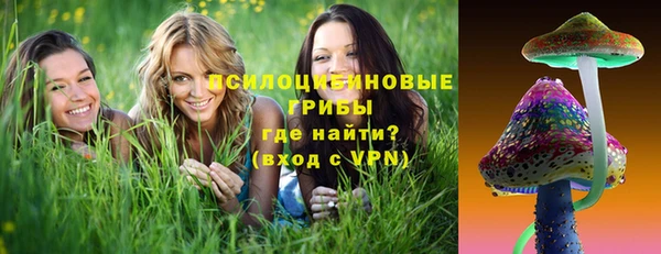 дурь Нягань