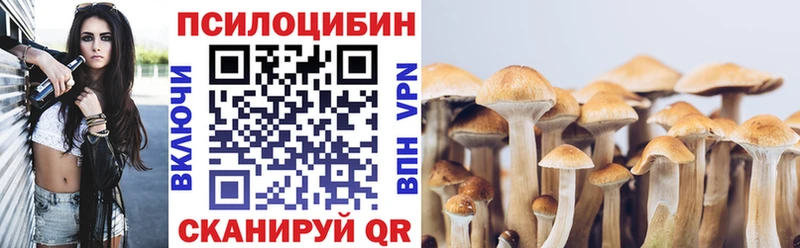 где купить наркотик  Межгорье  Галлюциногенные грибы GOLDEN TEACHER 